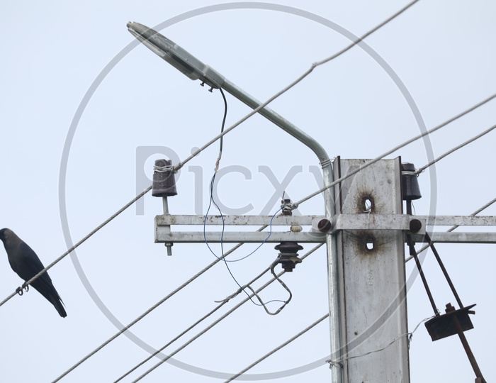 Image Of A Bird Or Warbler Sitting On A Electric Wire Near Pole RB030292 Picxy