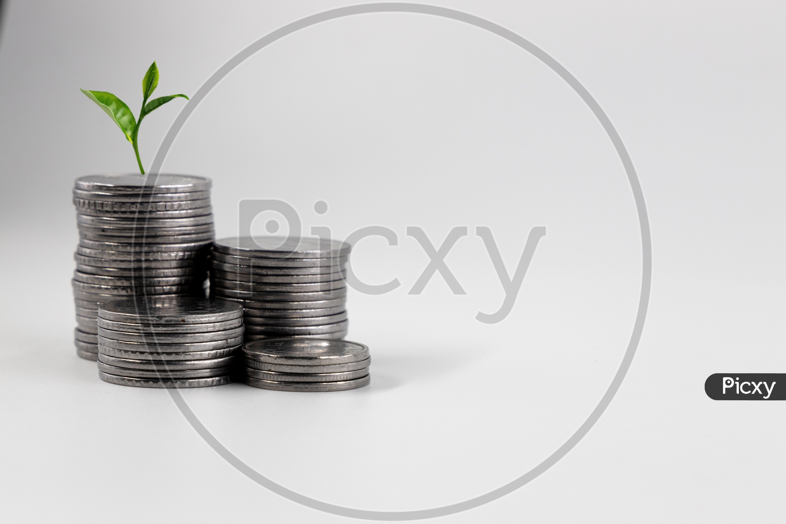 A Plant  On a Stack Of Currency Coins Growing  Financial growth Business Growth Concept