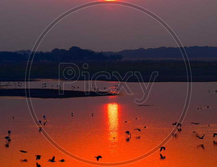 Reflection of sunrise on water_in bird sanctuary