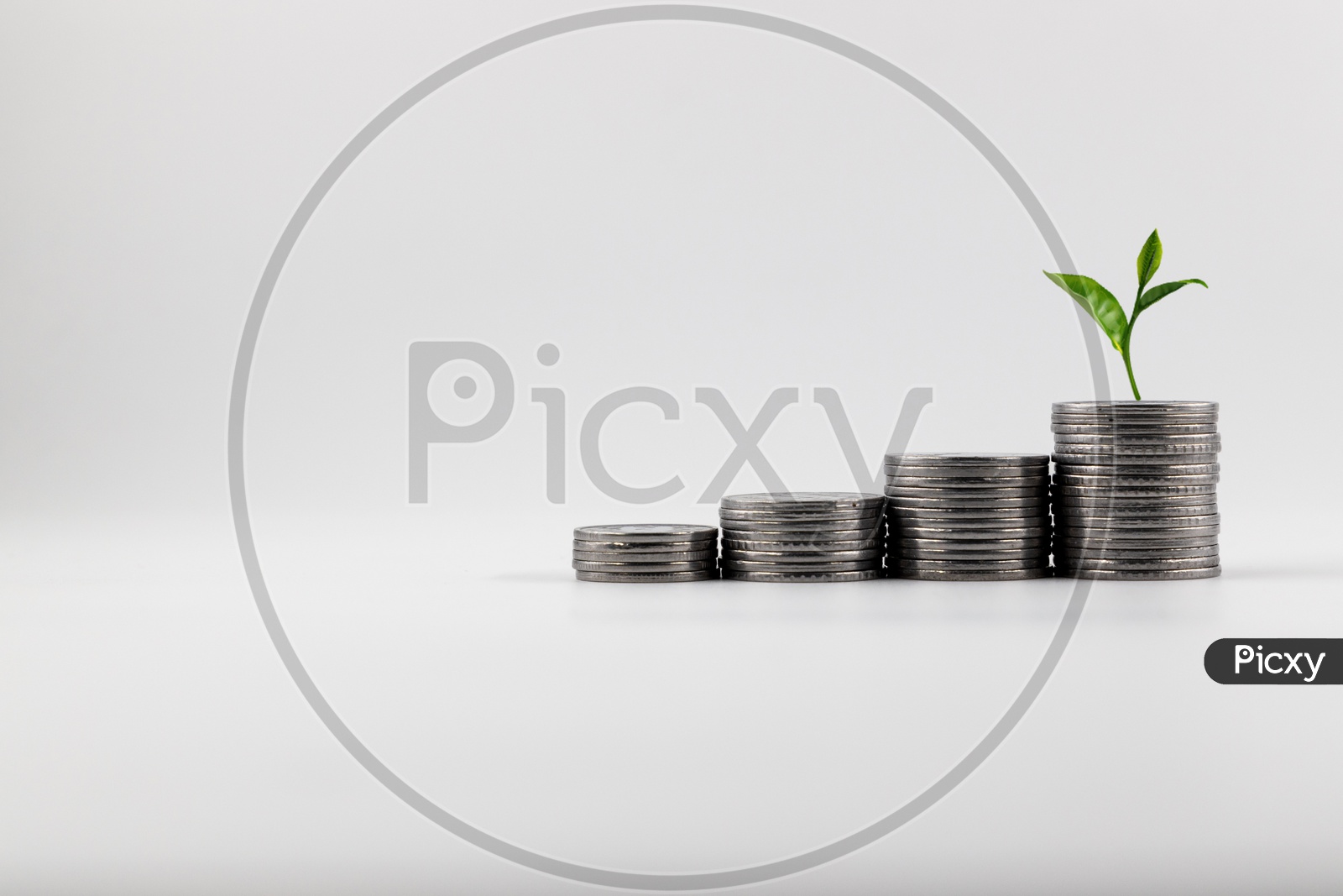 A Plant  On a Stack Of Currency Coins Growing  Financial growth Business Growth Concept