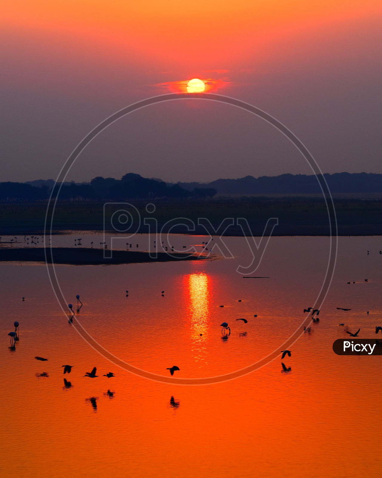 Reflection of sunrise on water_in bird sanctuary