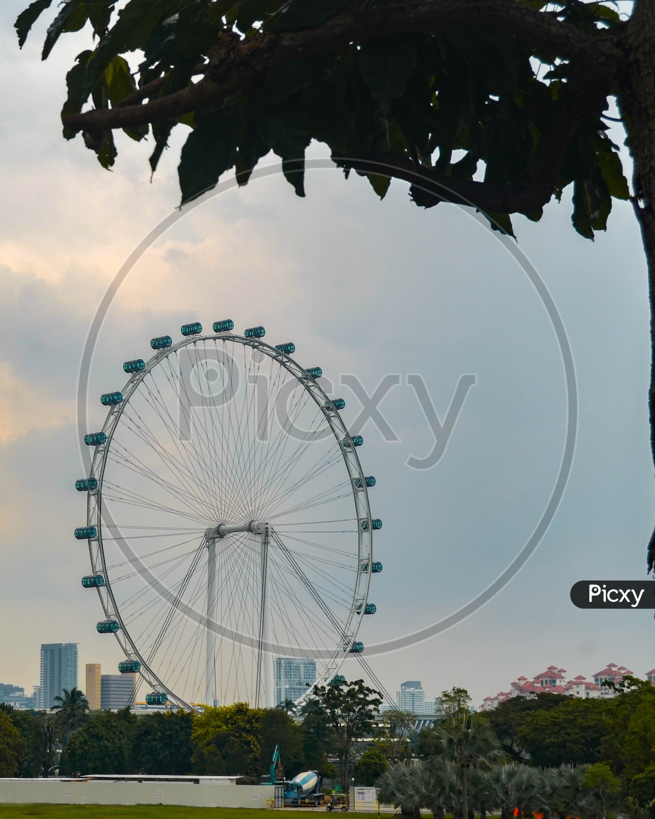 Singapore flyer from far with a tree in the frame