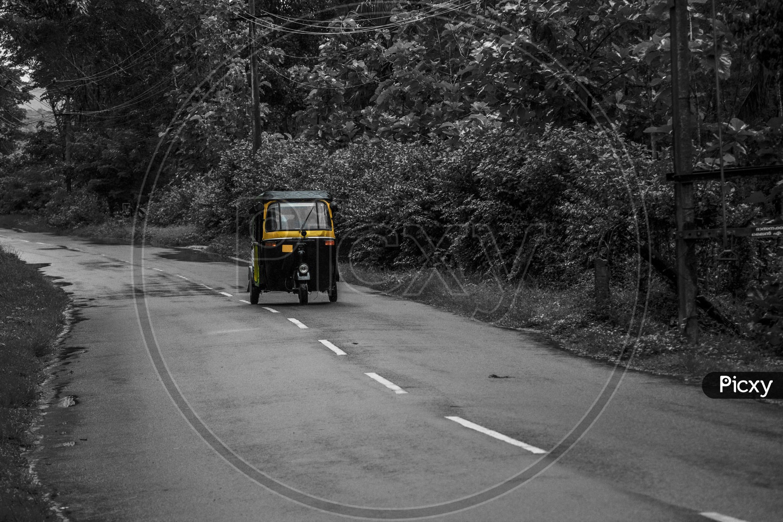 The beautiful Green Paths of the road trips to Wayanad, Kerala