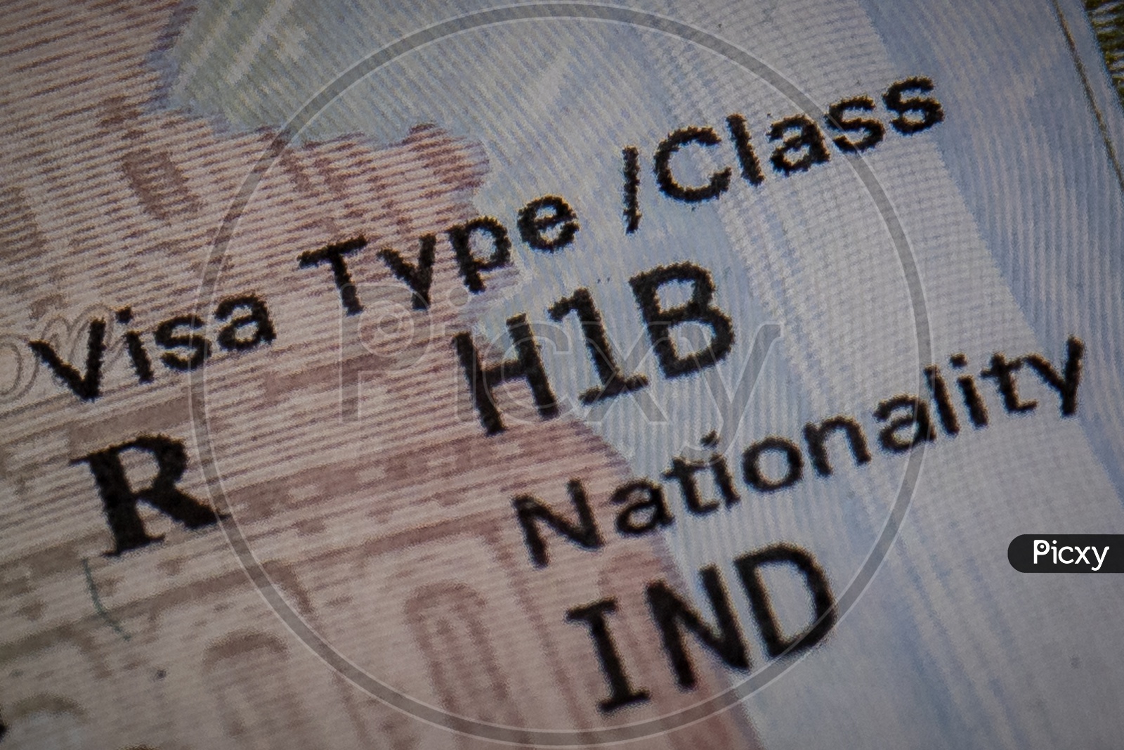 Fragment of H1B  VISA  For USA Worker   Or Working in USA   On an Indian National Passport Closeup
