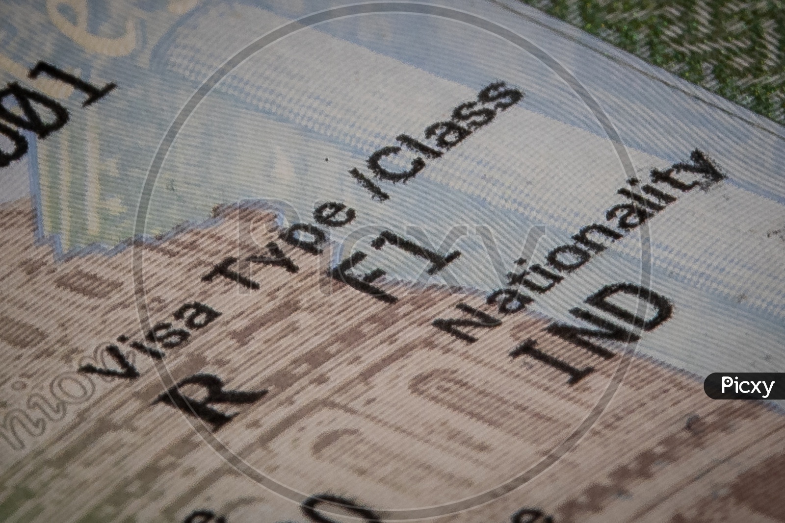 Fragment of F1 VISA  For USA Students  Or USA Student VISA  On an Indian National Passport Closeup