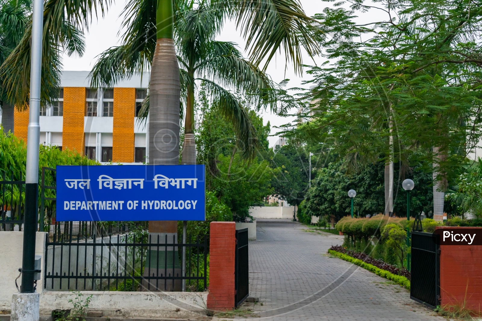Department of Hydrology, Indian Institute of Technology Roorkee (IIT Roorkee)
