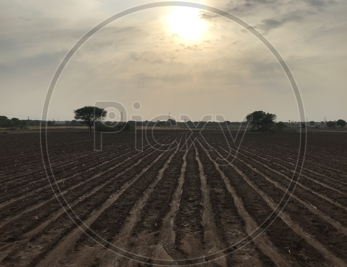 Land preparations of Agricultural Fields