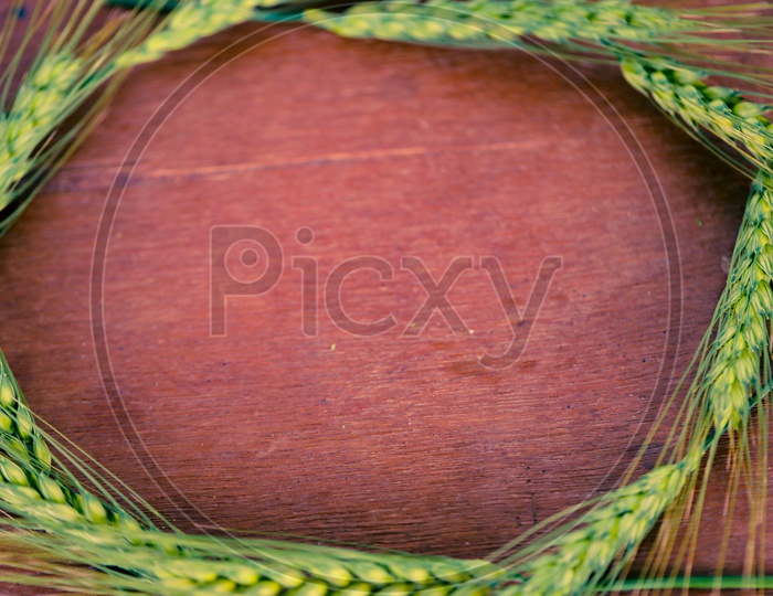 Young  Green  Wheat Ears Or Spikelets  on a Wooden Table  Arranged  As a Hexagon To Make  Space