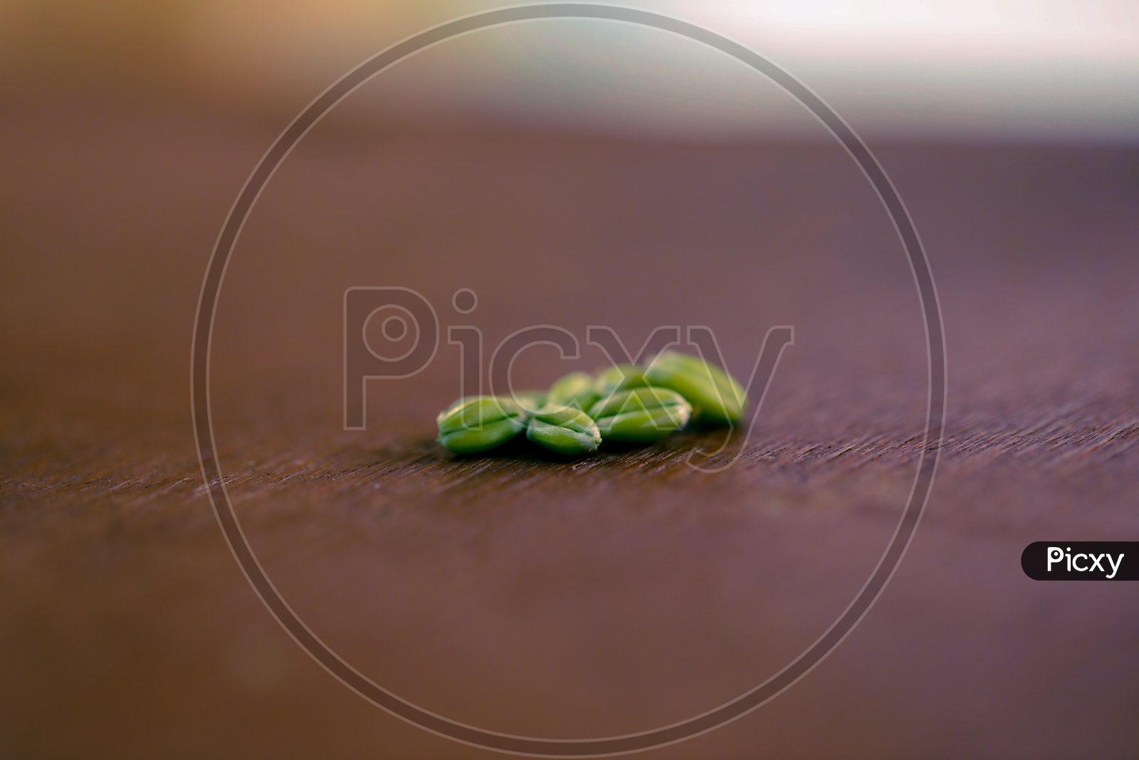 Fresh Green Wheat Grains From Wheat Eras Placed on a Wooden Table Closeup