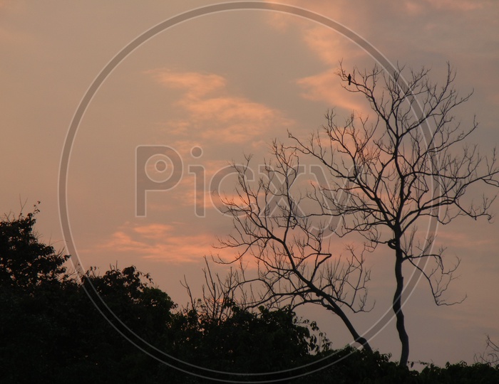 Sunset in Kaziranga
