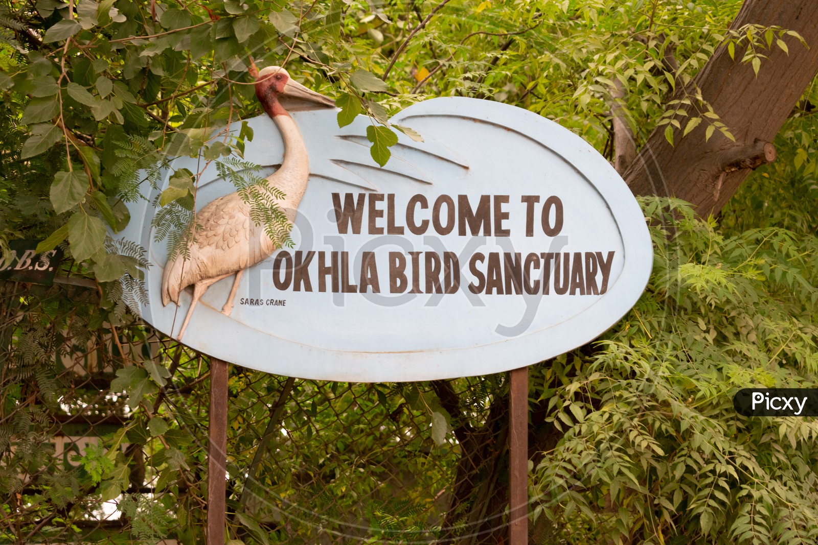 Okhla Bird Sanctuary, Noida, Uttar Pradesh