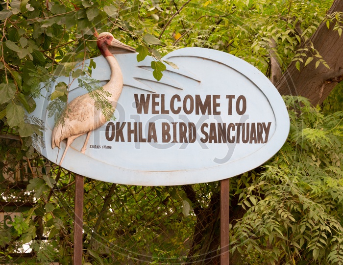 Okhla Bird Sanctuary, Noida, Uttar Pradesh