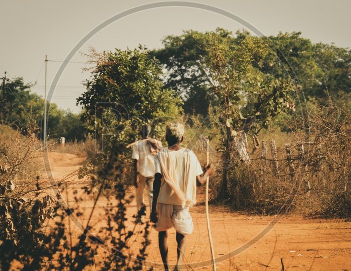 Indian Old Man Walking In Mud Pathways In Rural Villages