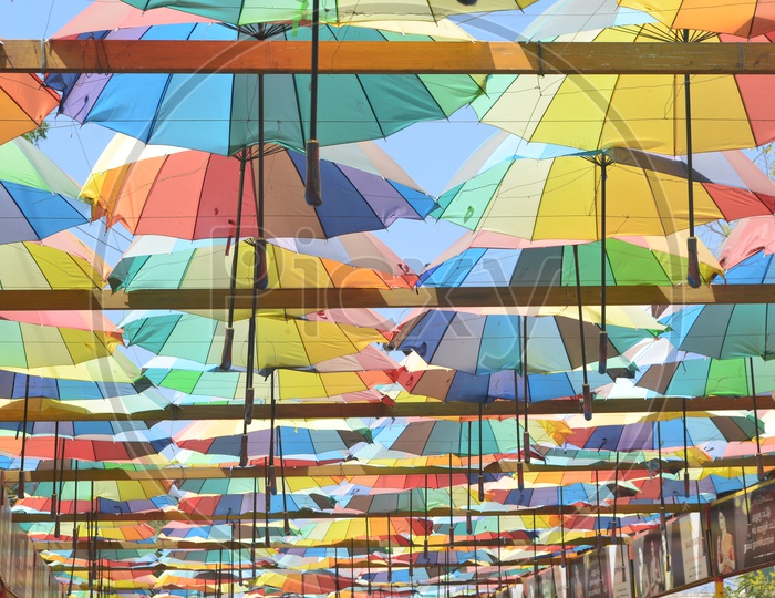 Umbrella -colours speak A lot