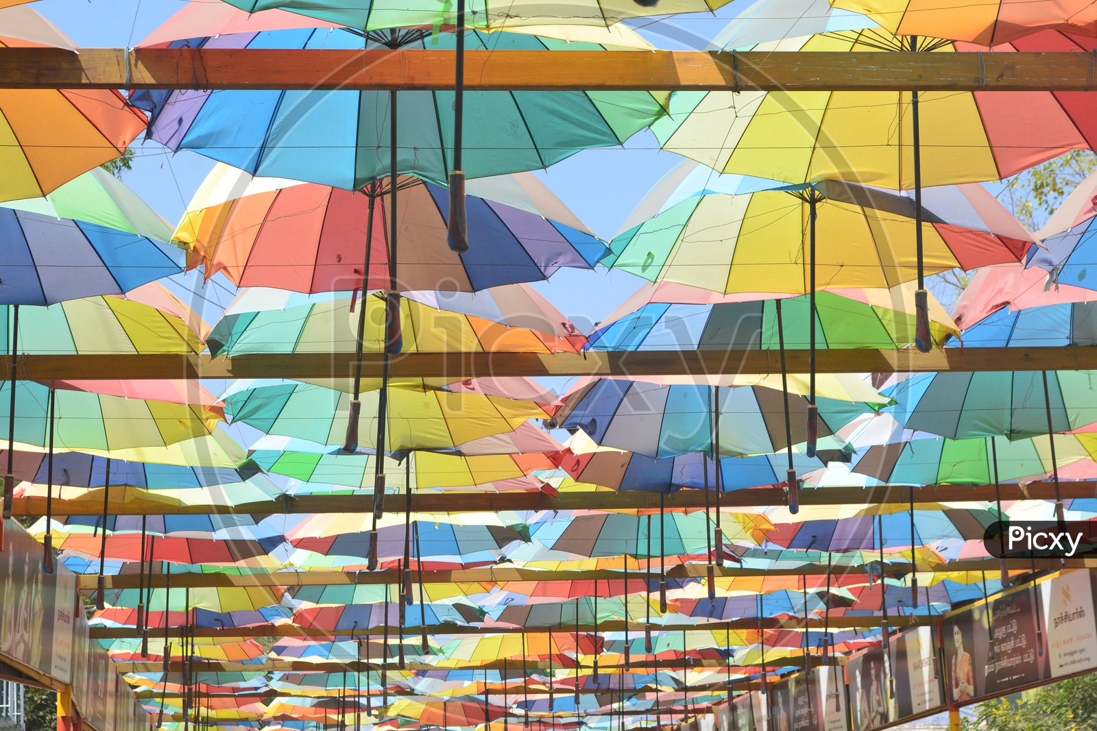 Umbrella -colours speak A lot