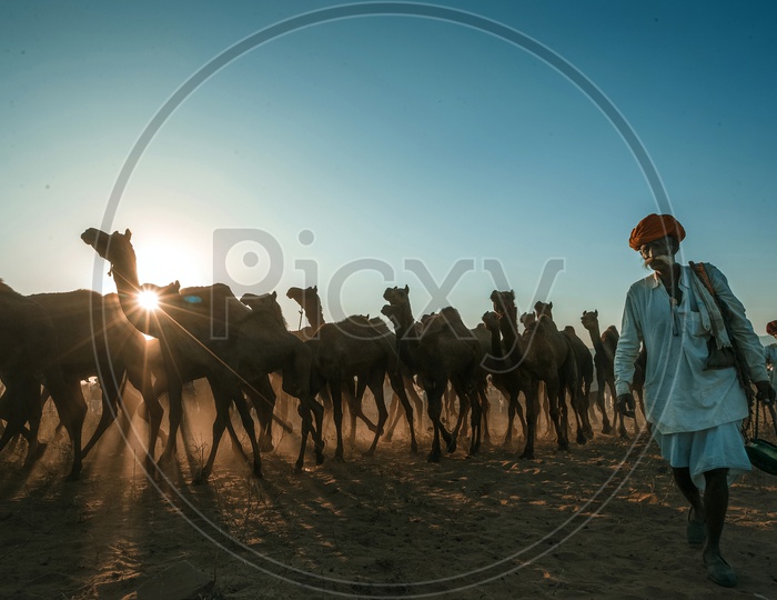 marching towards the oasis