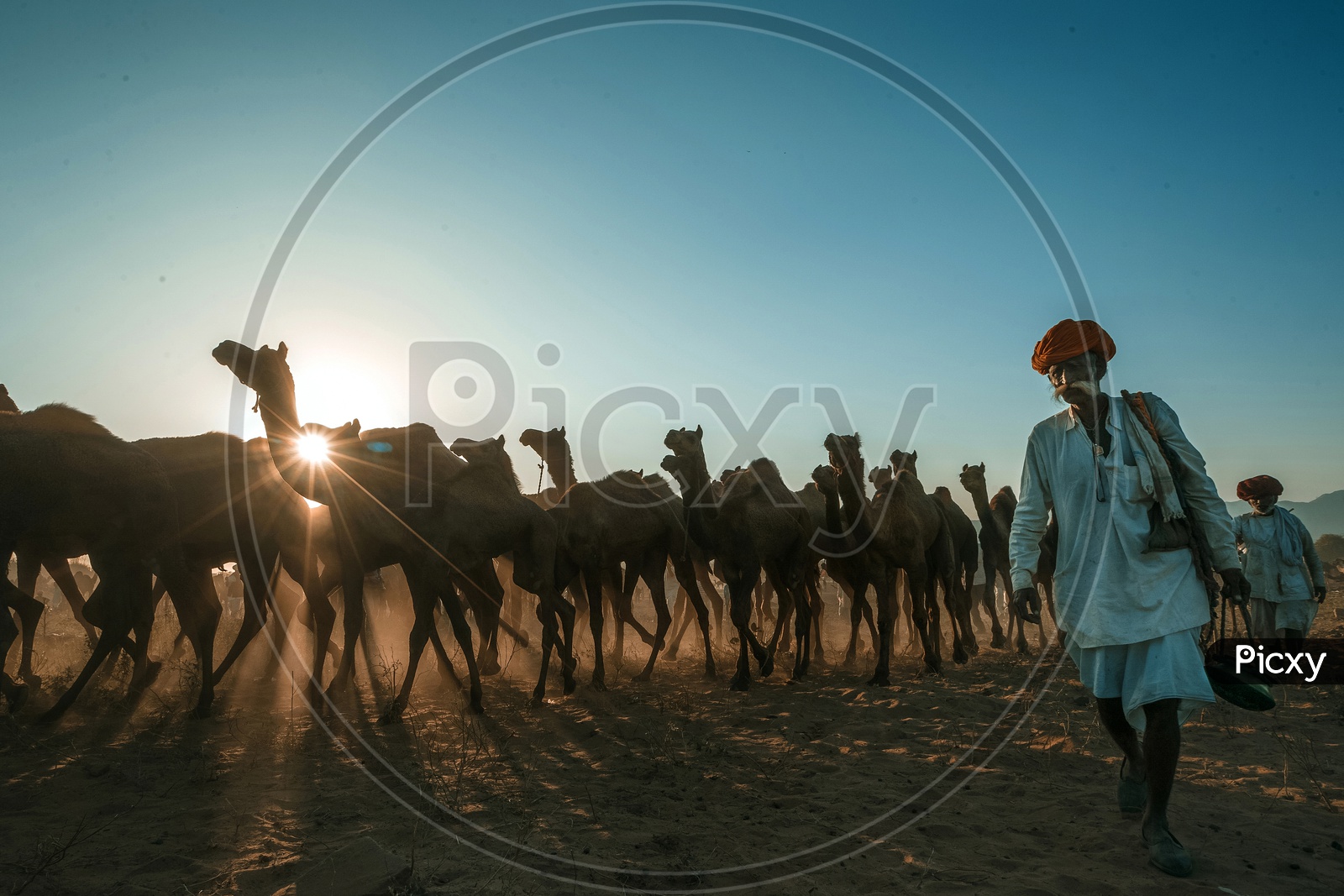 marching towards the oasis