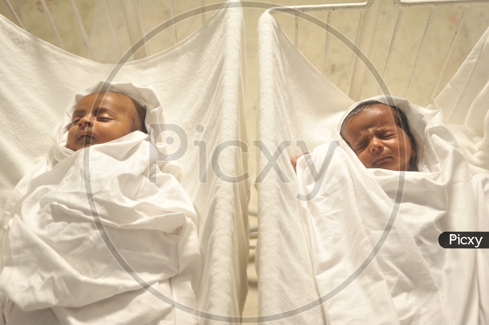 Twins New Born Babies in Hospital Swings