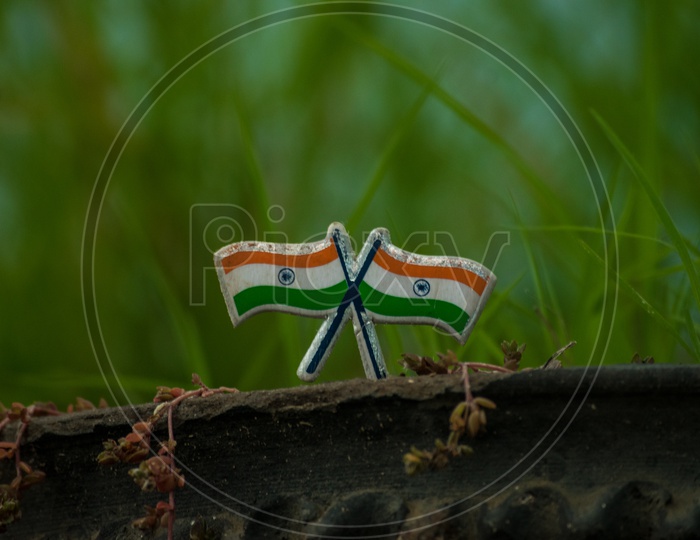 Indian Flag Miniature Models