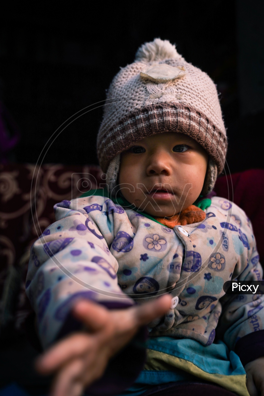 Young Girl Child Portrait In Leh Villages