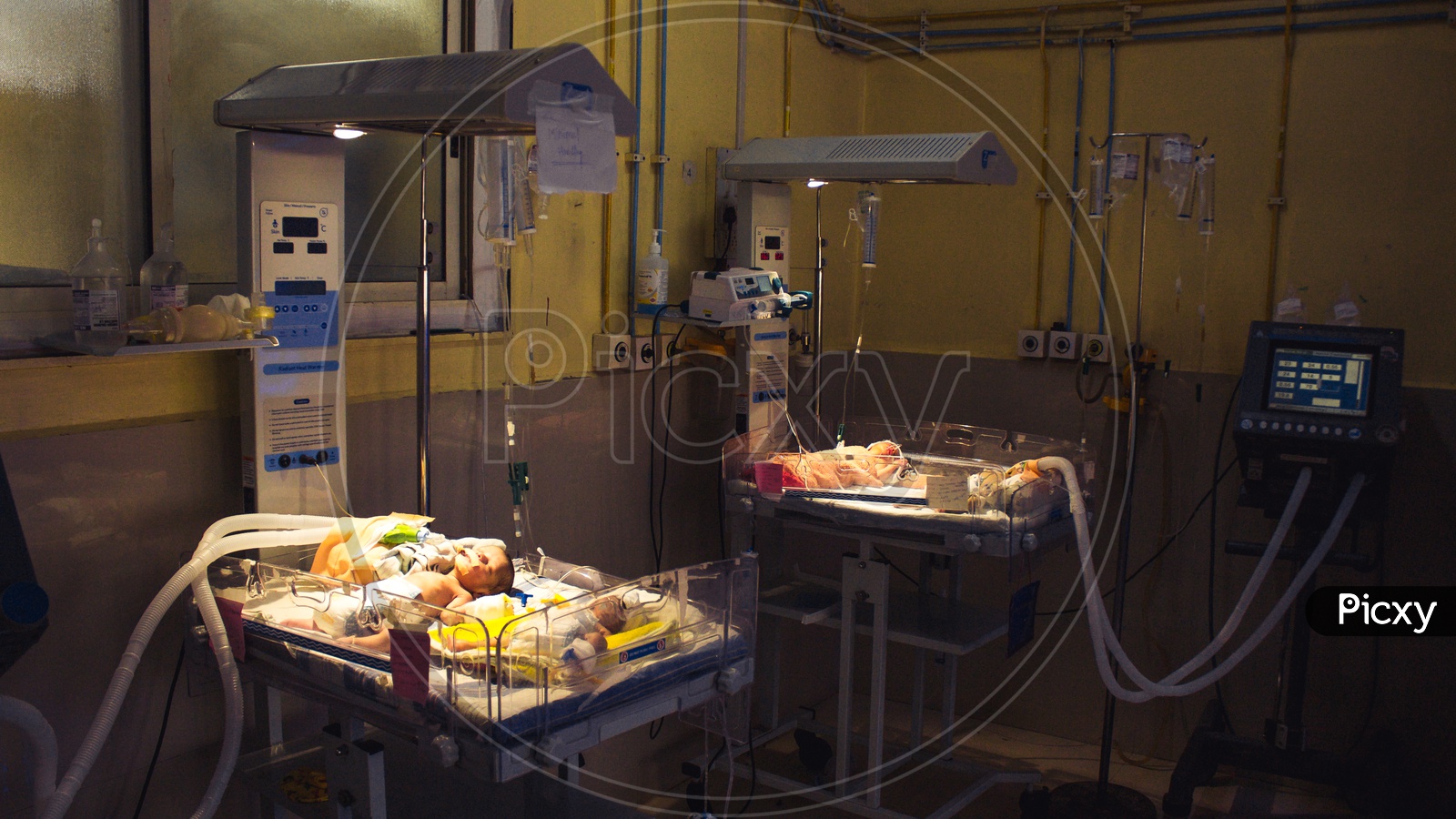 New Born Babies In Incubator At  Hospital Ward