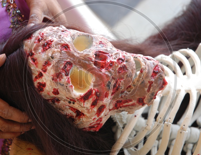 Artist Making a dummy Skeleton for Horror Movie