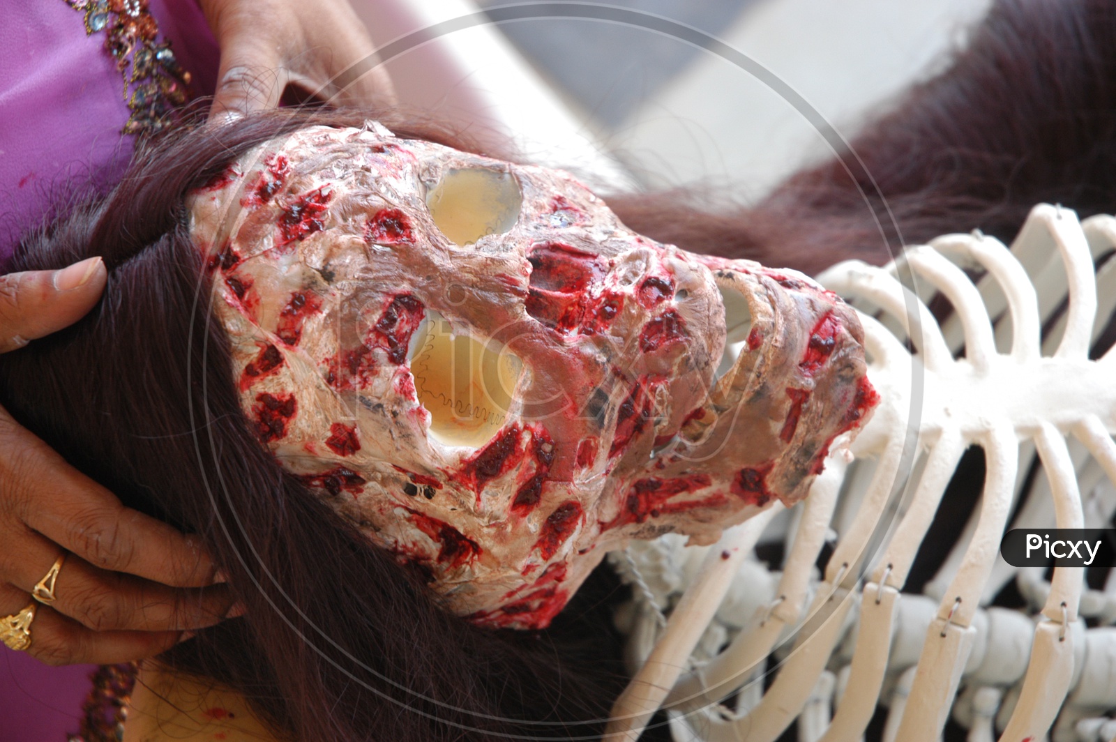 Artist Making a dummy Skeleton for Horror Movie