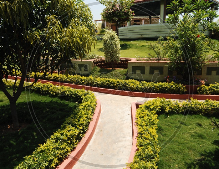 Pathways With Lawn Garden On Both Sides in an Individual House Compound