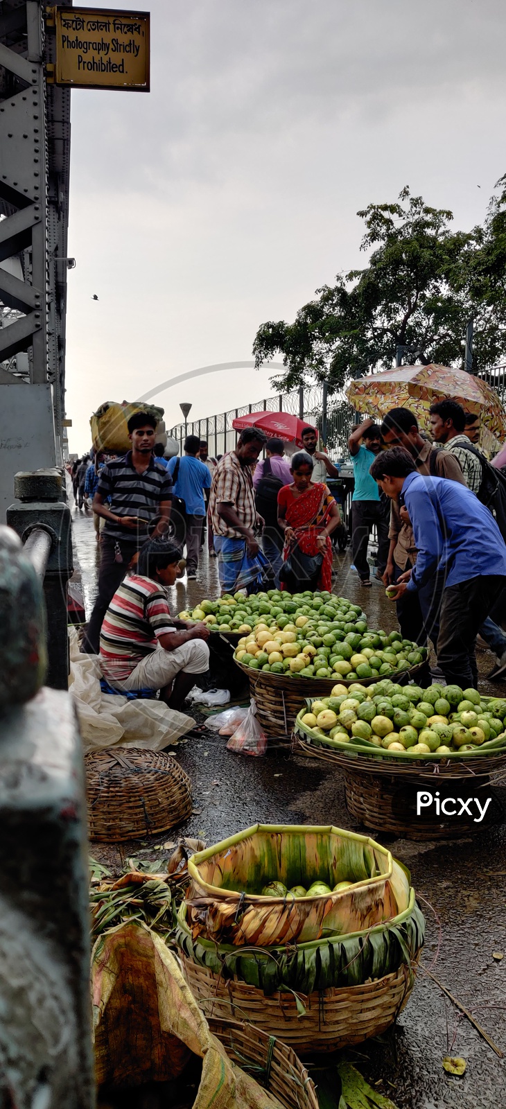 Guava seller on a rainy day -Howrah Bridge