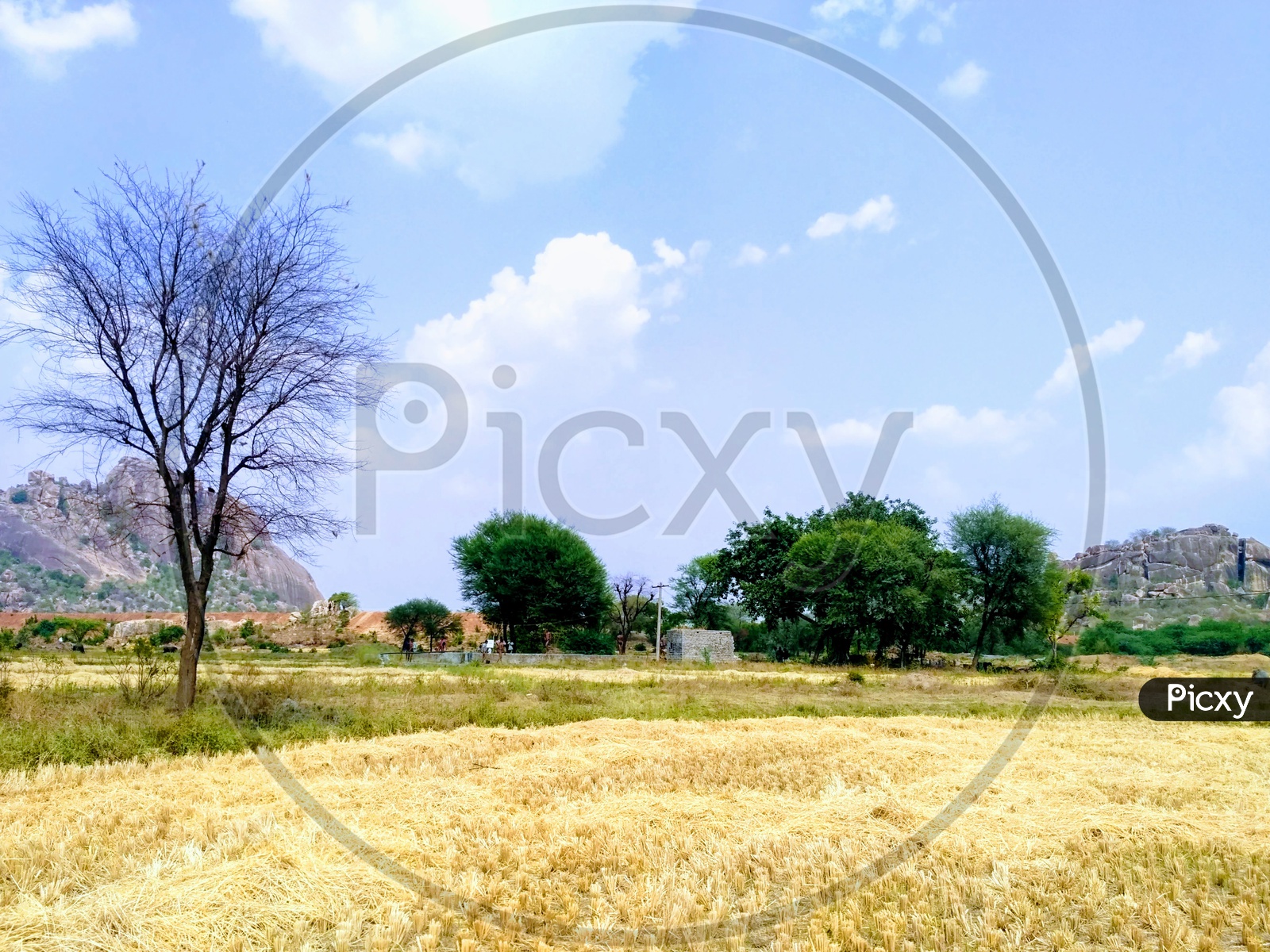 Landscape in Addakal Mandal Mahabubnagar Telangana