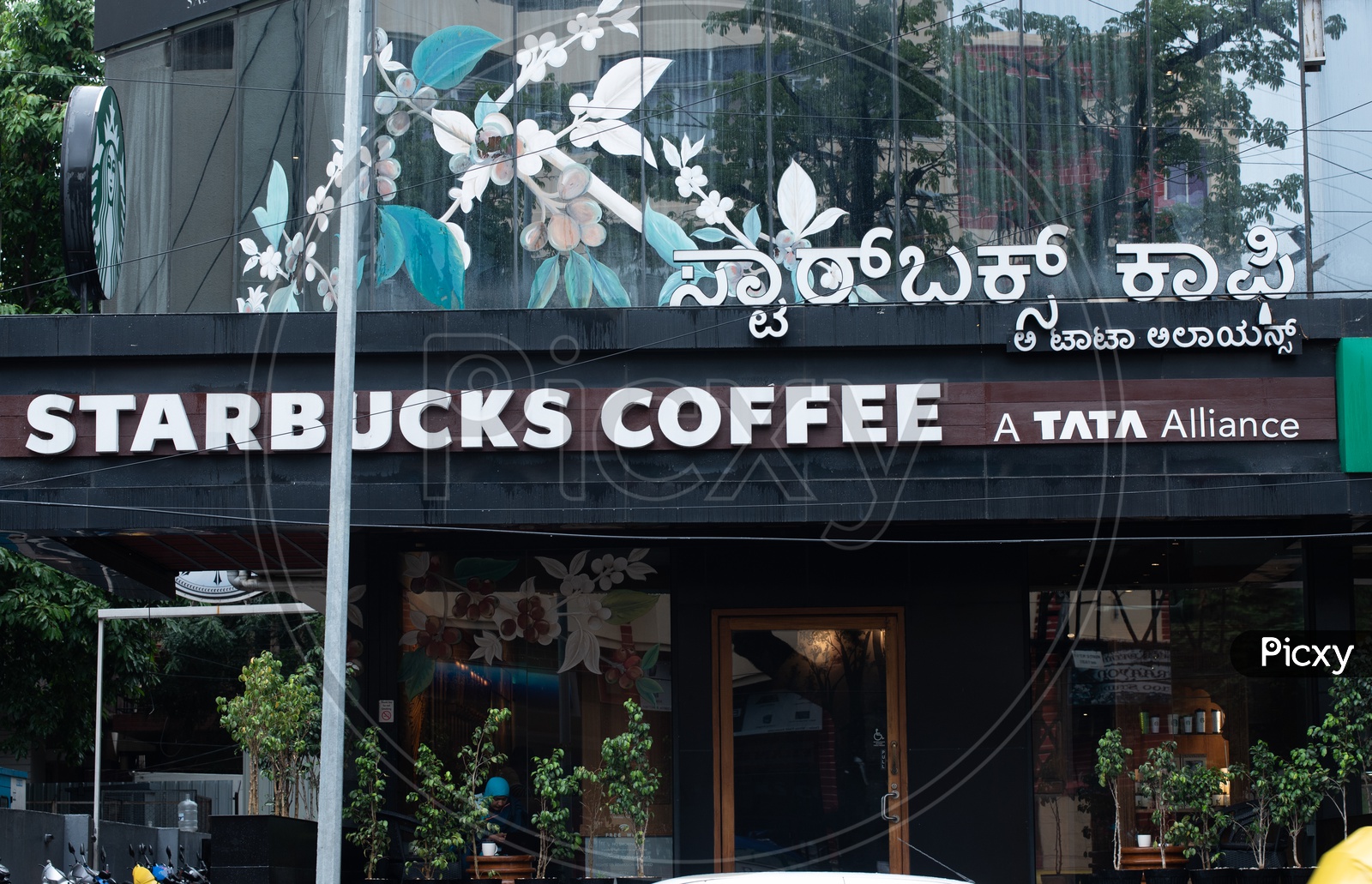 Starbucks Coffee Cafe, an American Coffee house Chain and Coffee Company