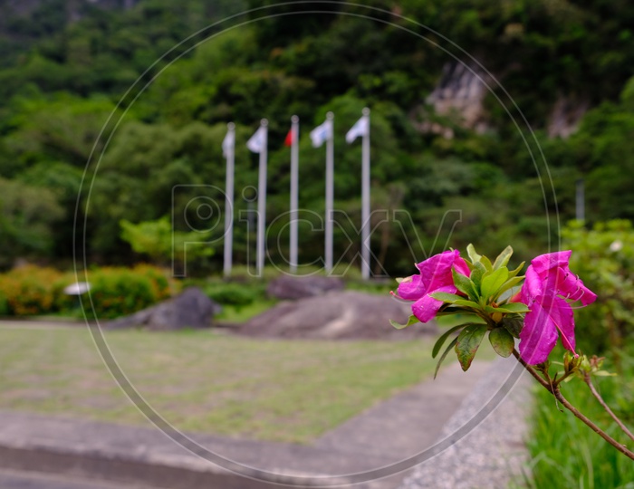 Flowers and Flags at Taroko National Park Visitor Center