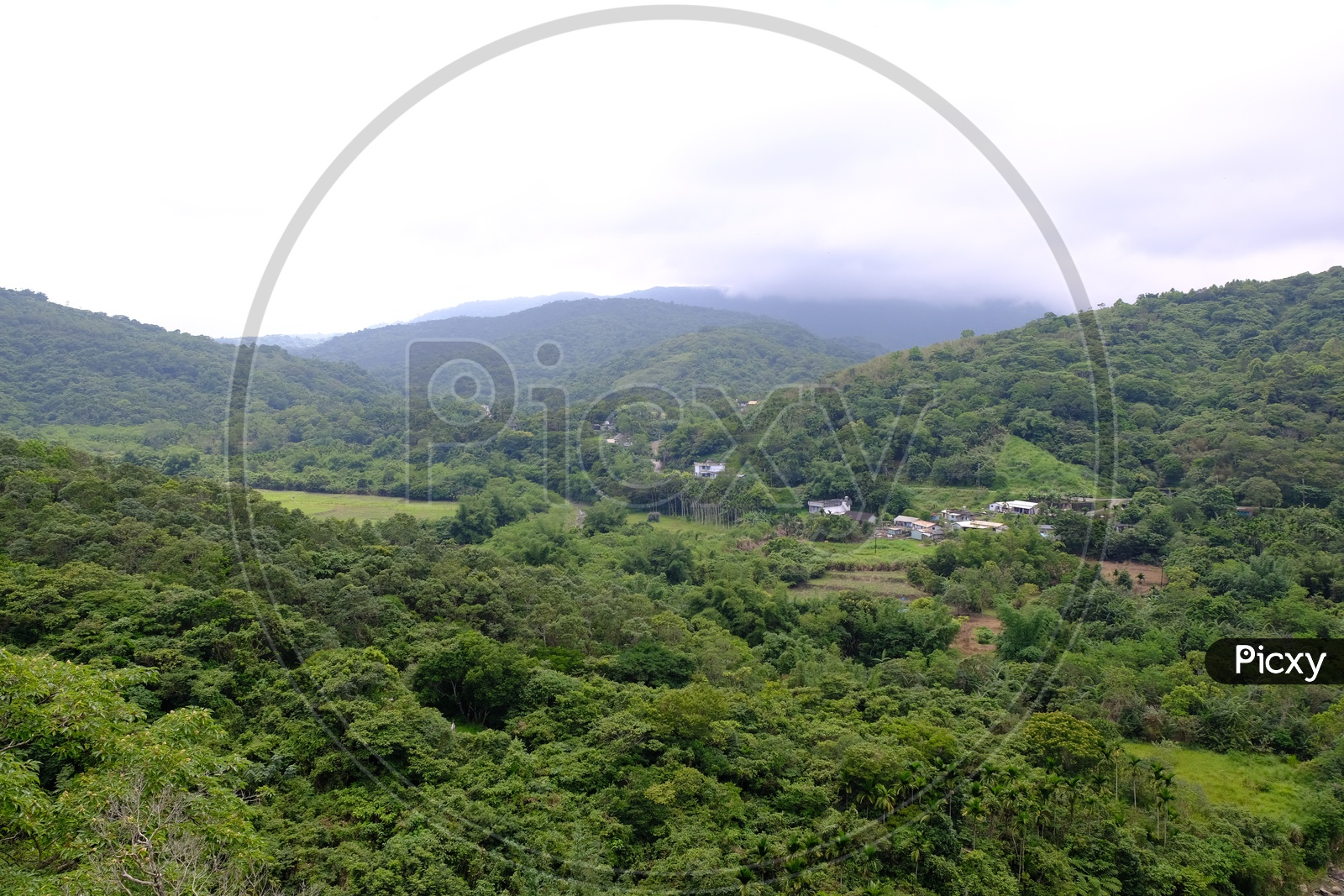 Aerial view of Vegetation in Taroko National Park