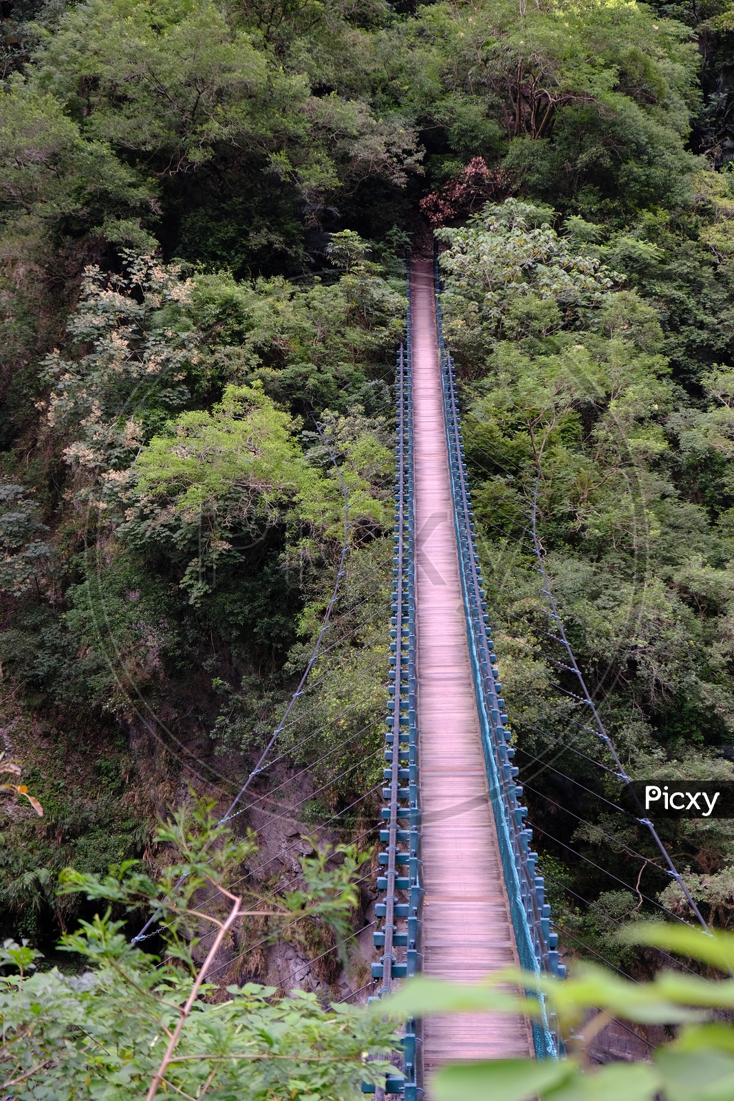 Suspension bridge for hikers