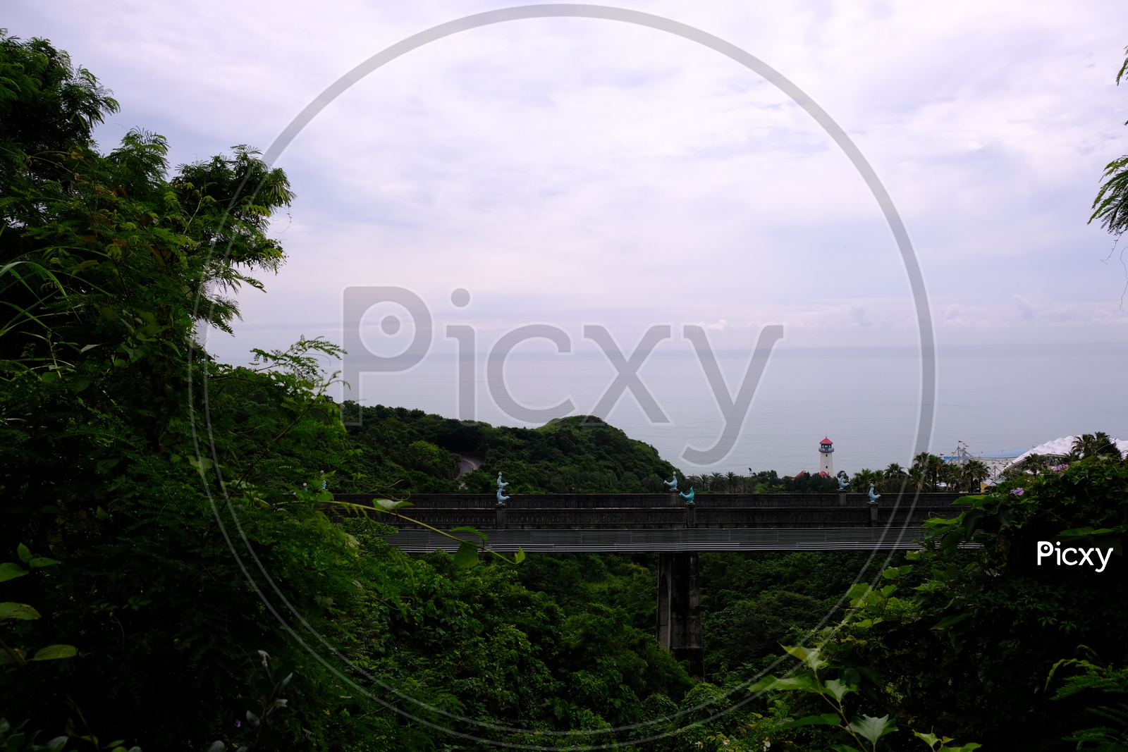 A Bridge Covered with Greenery at Hualien City