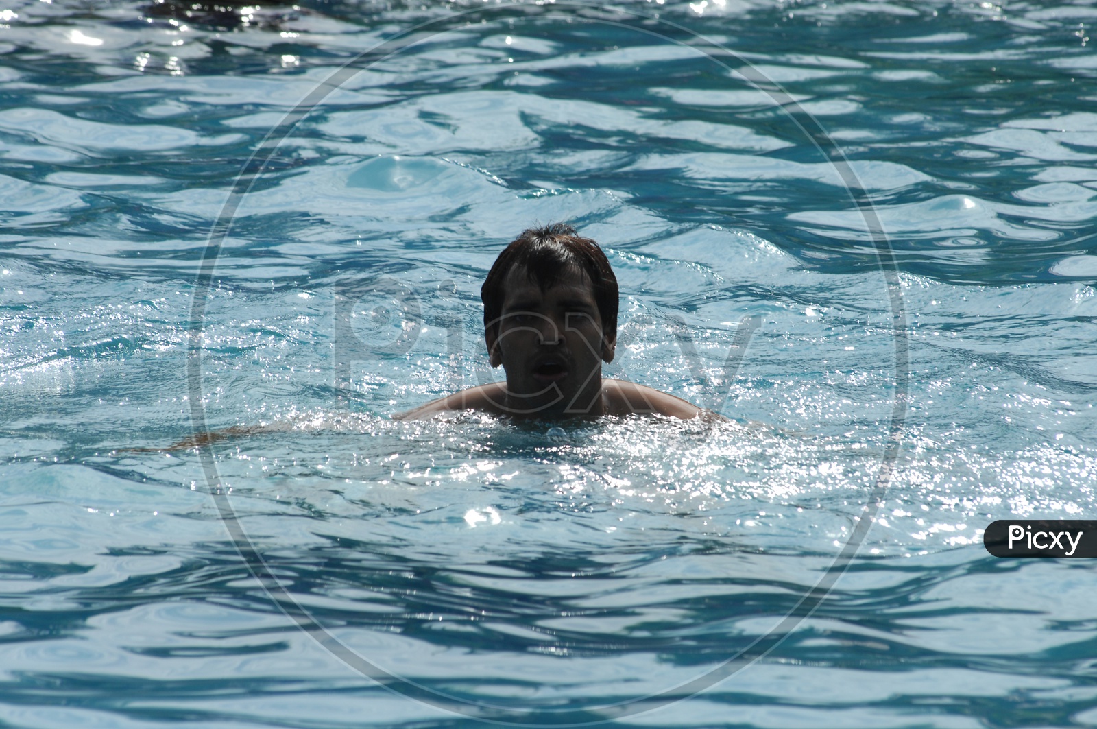 Young Man Swimming in a Pool