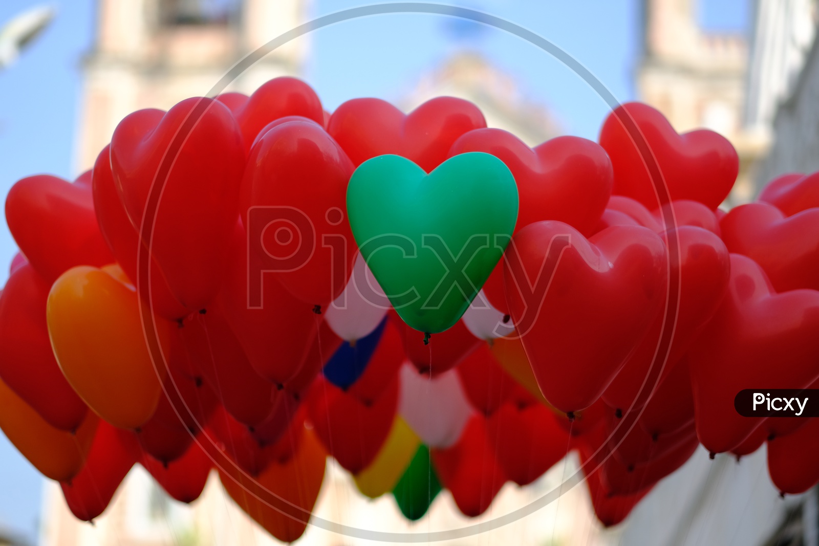 Heart Shaped Balloons