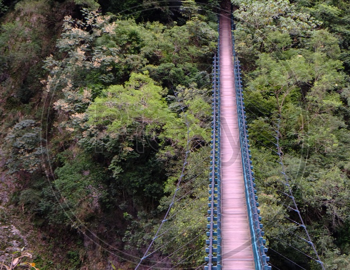 Suspension bridge for hikers