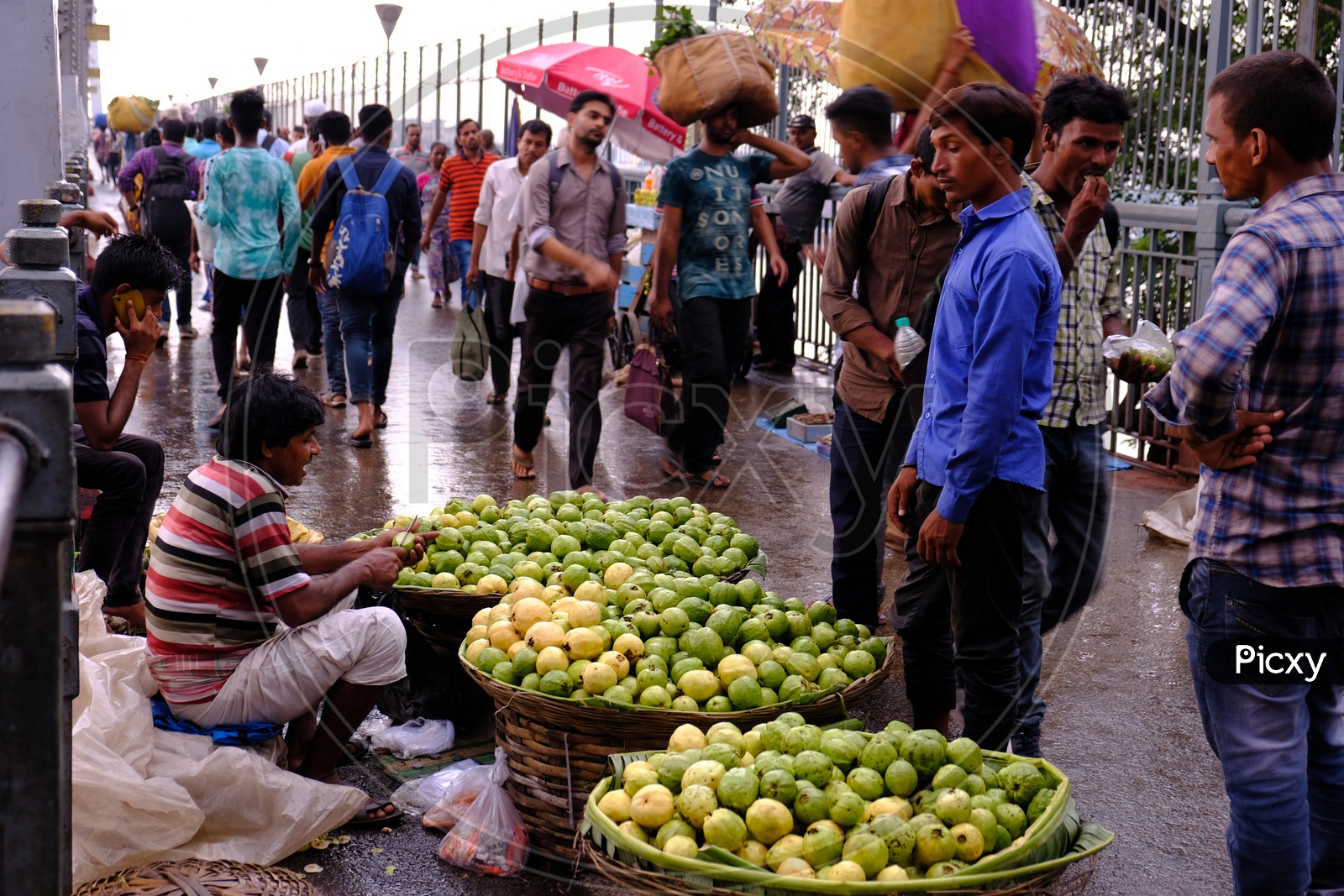Indian Street Vendor selling guavas