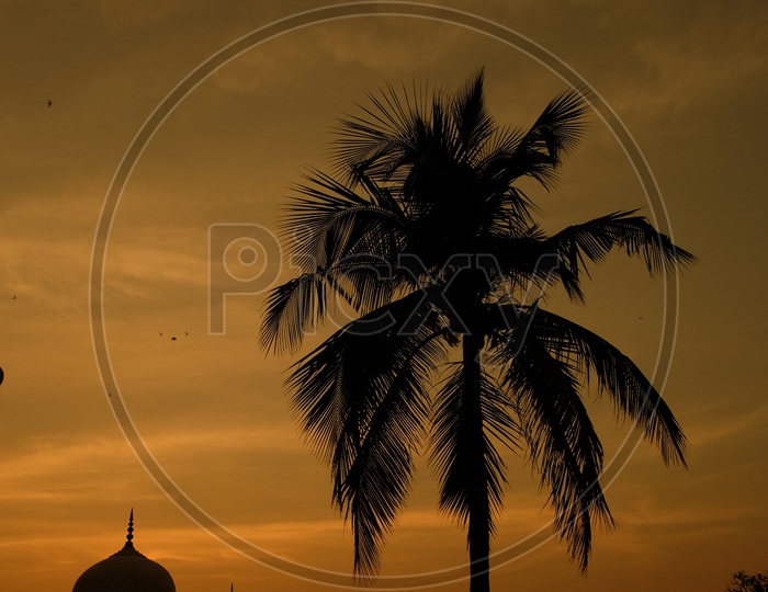 Silhouette Of Qutub Shahi Tombs  Over a Sunset Sky