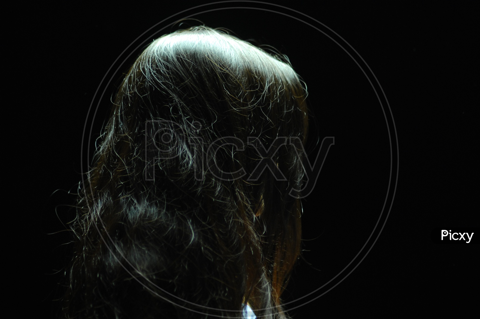 Young Indian Woman Hair. Silhouette.