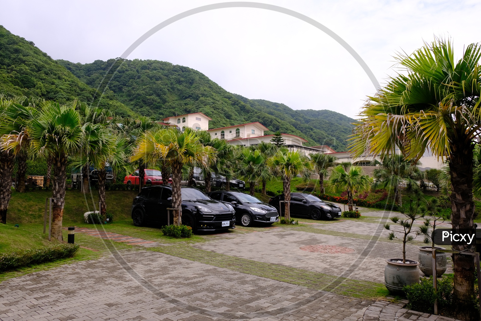 Cars Parked under Trees with Mountains in Background in Hualien City