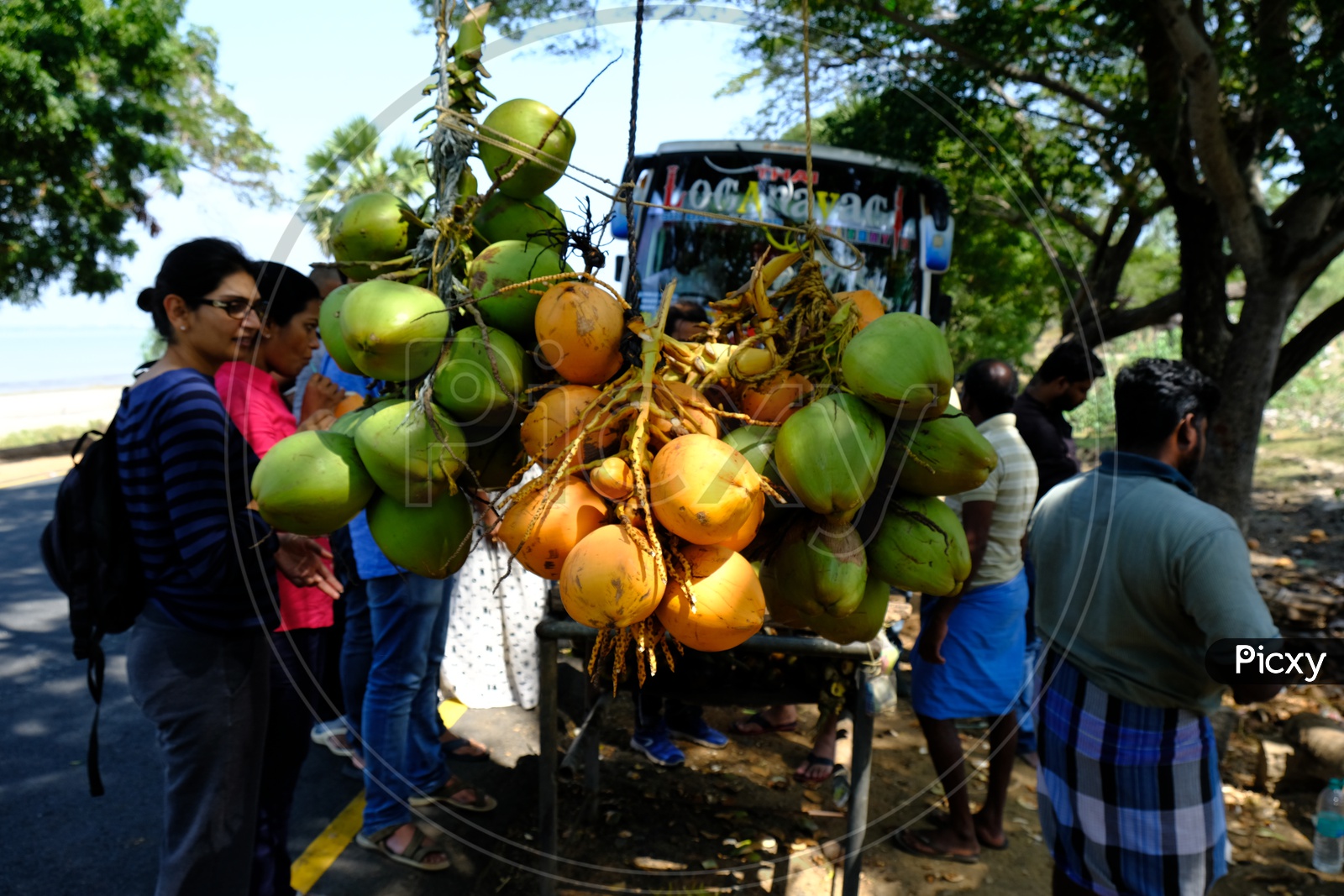 Tourists drinking Coconut Water roadside