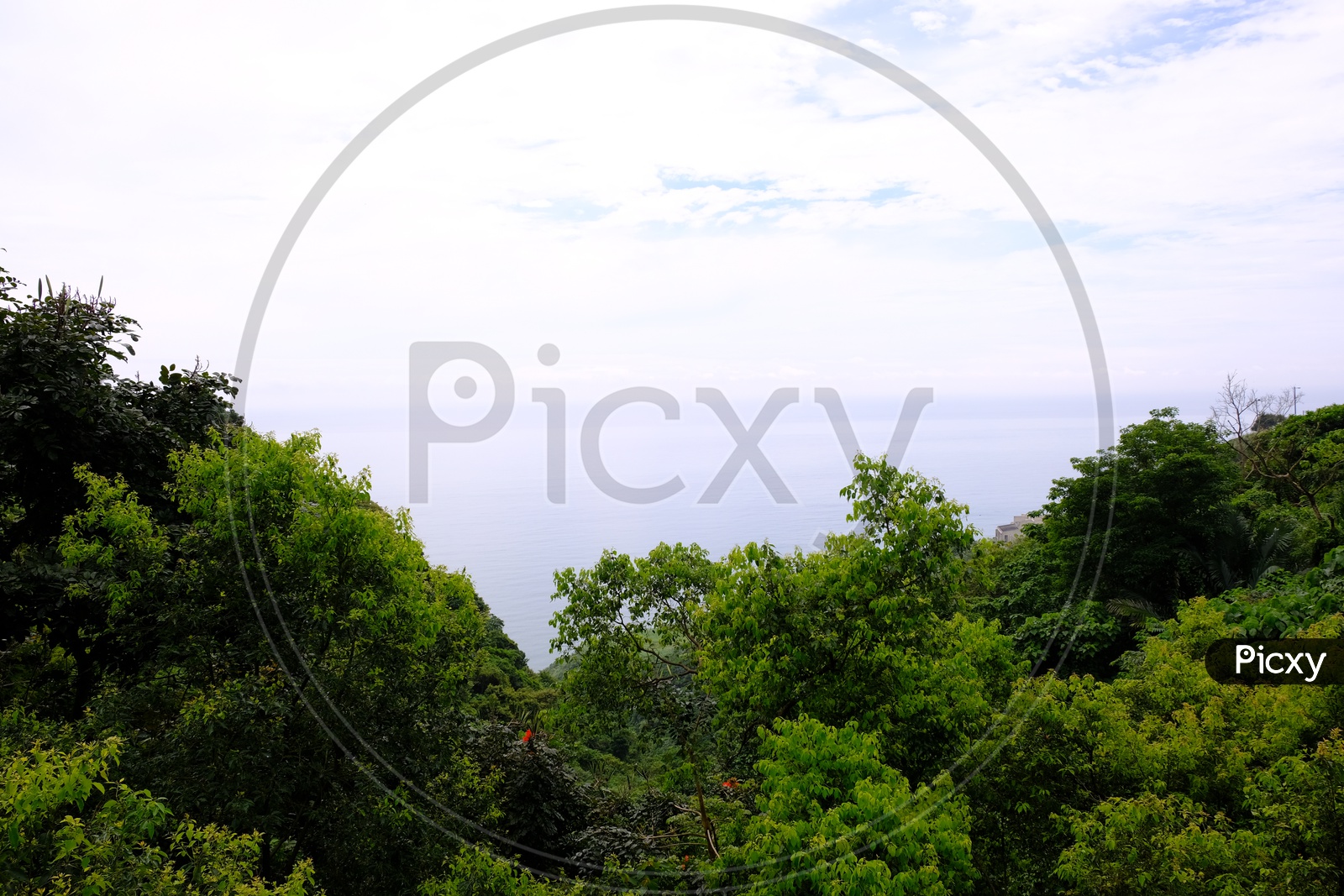 View of Greenery at Farglory Hotel Hualien