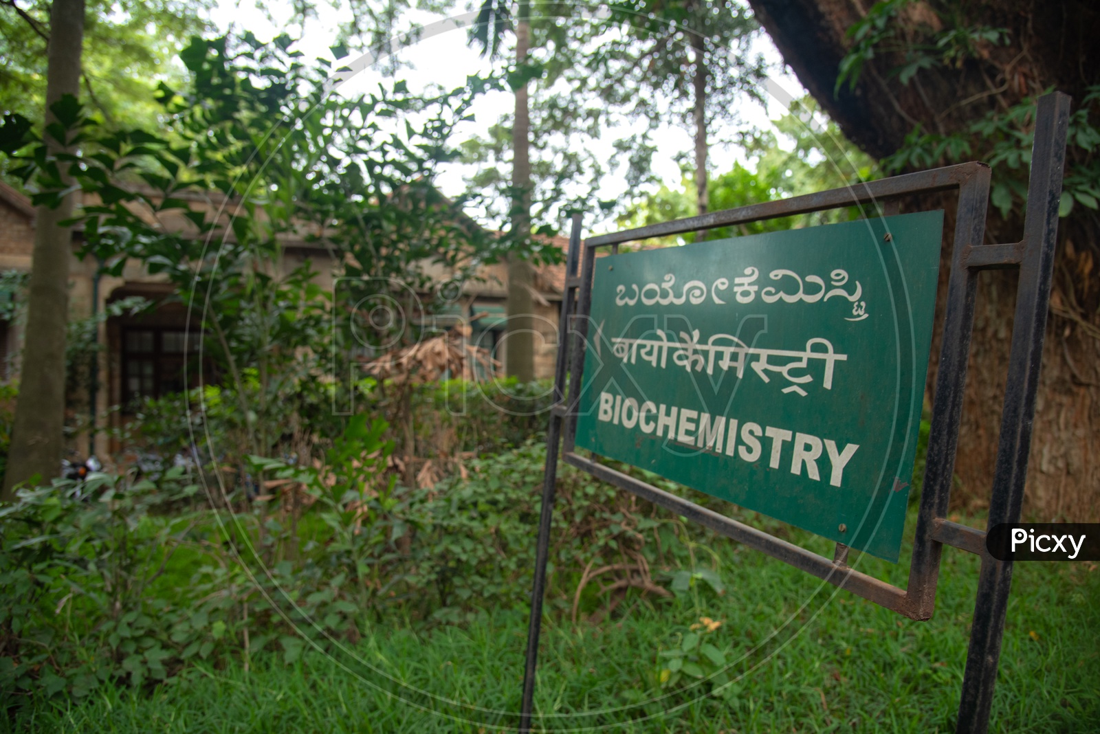Bio Chemistry Department in Indian Institute of Science, Bangalore