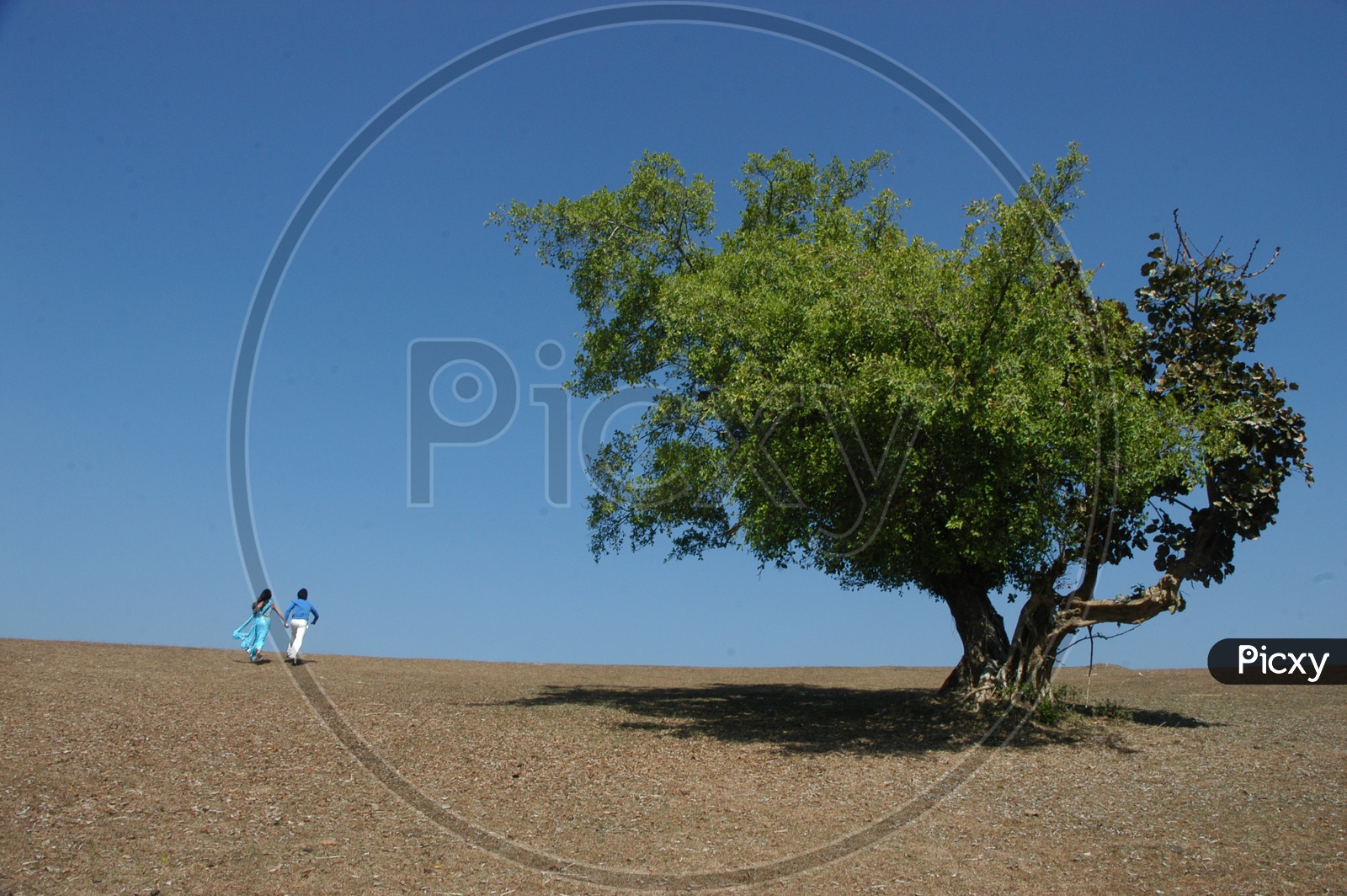 Young Indian Couple Dancing Near a Tree