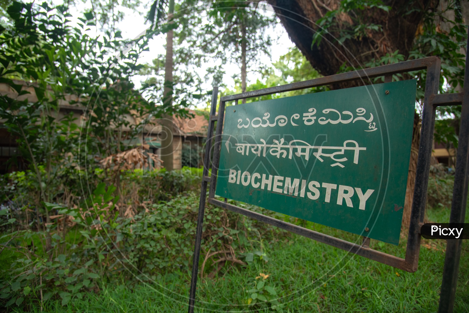Bio Chemistry Department, Indian Institute of Science,Bangalore