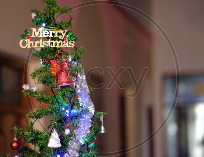 Christmas Tree Xmas tree Merry Christmas