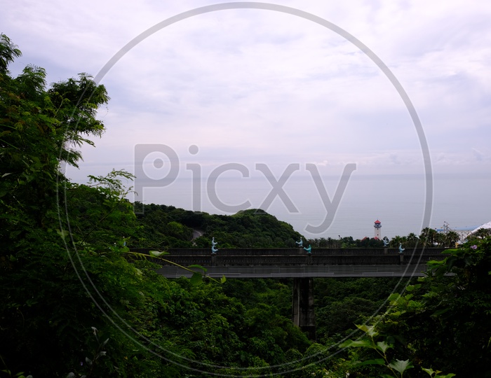 A Bridge Covered with Greenery at Hualien City
