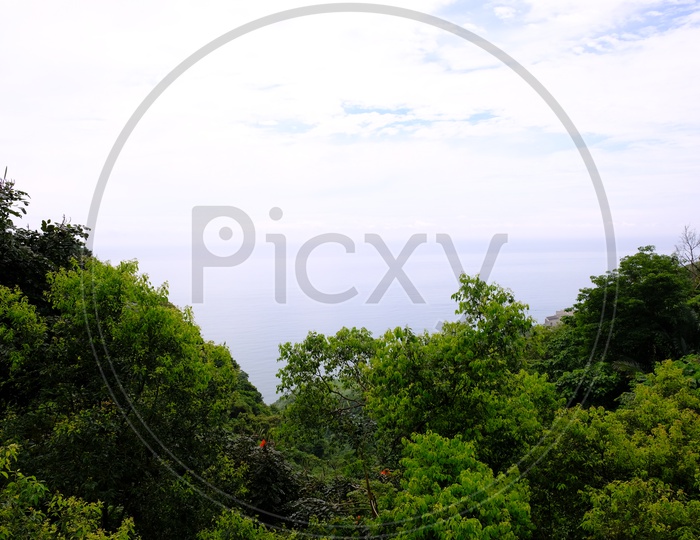 View of Greenery at Farglory Hotel Hualien